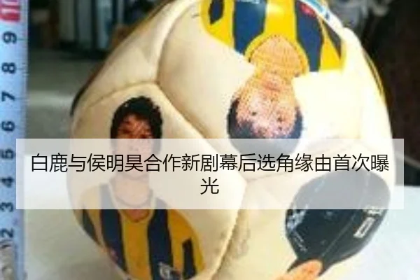 白鹿与侯明昊合作新剧幕后选角缘由首次曝光